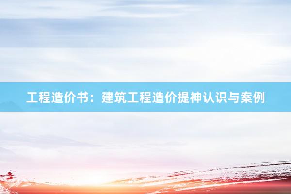 工程造价书：建筑工程造价提神认识与案例